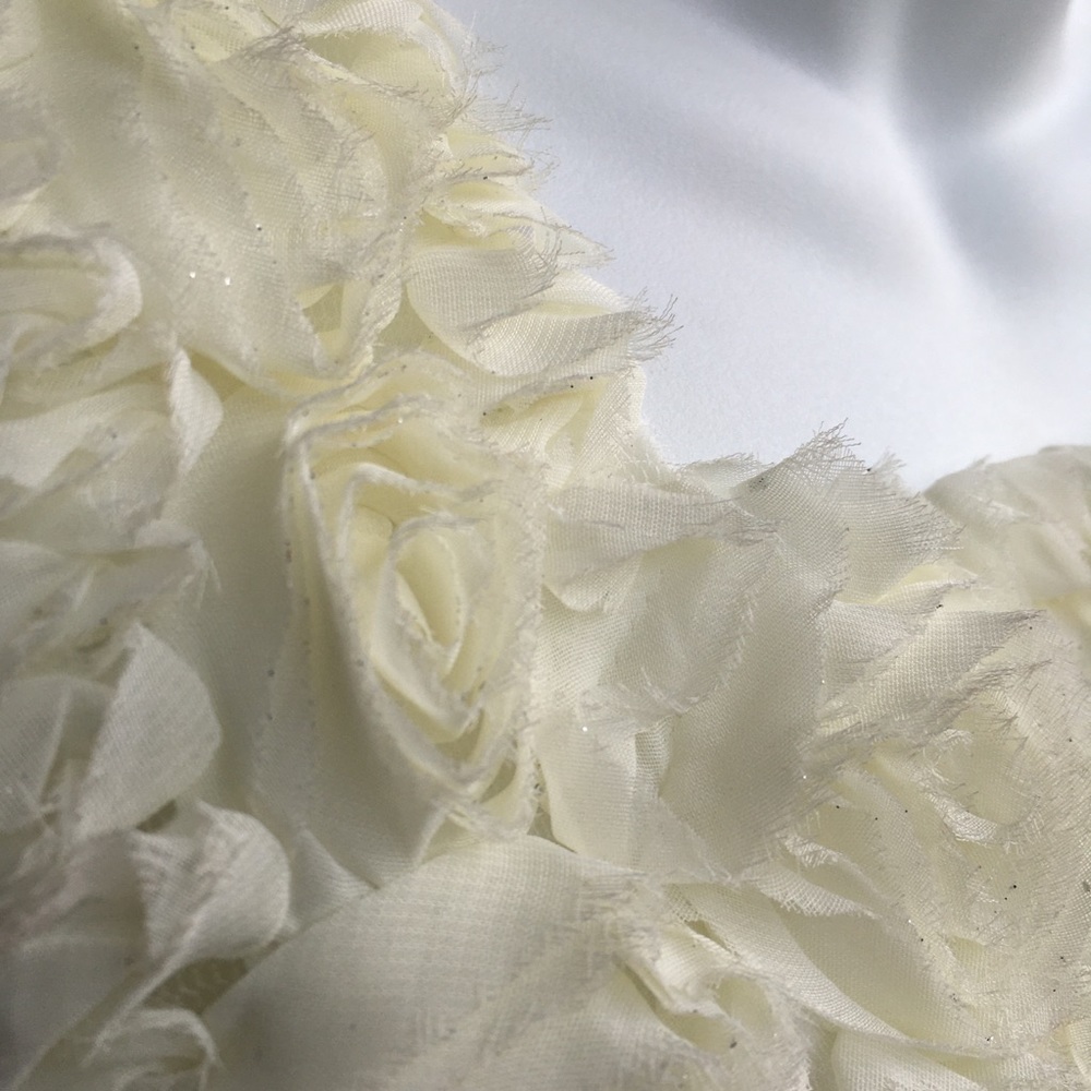 New Directions Petite Creamy Top Lot, Two PXL Tops - Picture 5 of 16